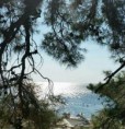 /album/resim-galerisi/a6-jpg/