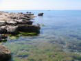 /album/resim-galerisi/a9-jpg/